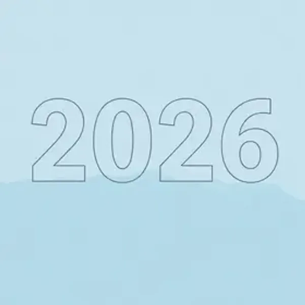 É melhor declarar o IR 2026 online ou pelo programa? Entenda